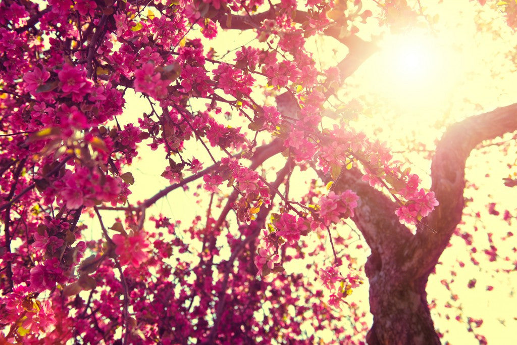 Top 6 Spring Skin Ready Tips