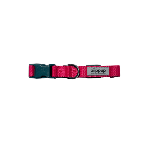 Ziippup Pink Dog Collar - Size Small