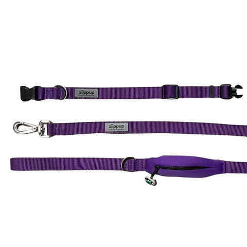 Ziippup Purple Dog Collar - Size Medium