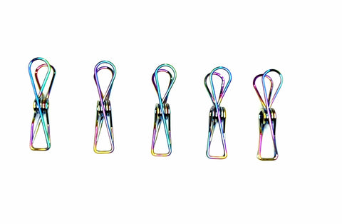 Bare & Co. - Stainless Steel LARGE Pegs - 316 Marine Grade - RAINBOW (BULK 500 Pack)