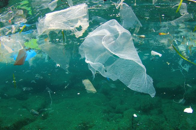 Top 5 Tips to Eliminate Plastic