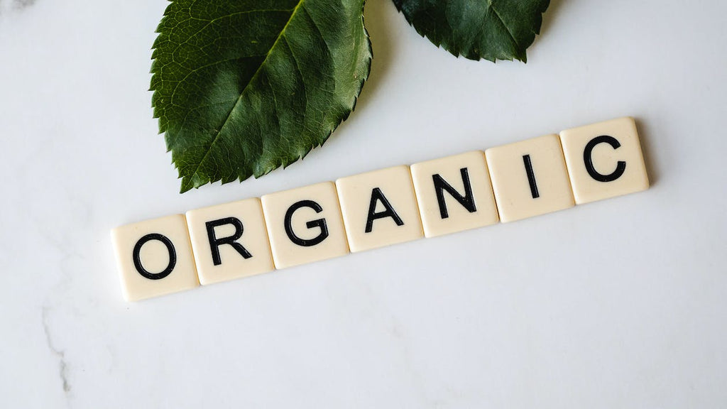 ORGANIC WEEK: BEST ORGANIC BEAUTY BRANDS & BUYS