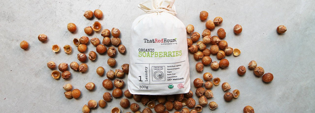Top 5 Reasons You Should Use Soapberries