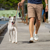 Ziippup Dog Lead with Built-in Poop Bag Holder - Rainbow