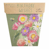 Sow 'n Sow - A Gift Of Seeds - Birthday Wishes