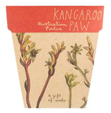 Sow 'n Sow - A Gift Of Seeds - Kangaroo Paw