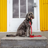 Ziippup Dog Lead with Built-in Poop Bag Holder - Red