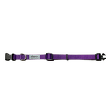 Ziippup Purple Dog Collar - Size Medium