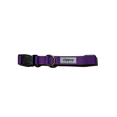 Ziippup Purple Dog Collar - Size Medium
