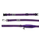 Ziippup Purple Dog Collar - Size Medium