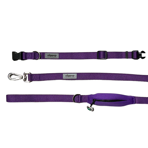 Ziippup Purple Dog Collar - Size Small