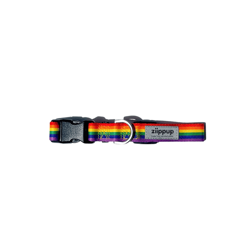 Ziippup Rainbow Dog Collar - Size Small