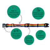 Ziippup Rainbow Dog Collar - Size Small