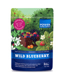 Power Superfoods - Wild Blueberry powder - 180g