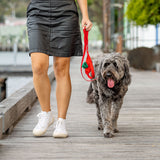Ziippup Dog Lead with Built-in Poop Bag Holder - Red