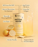 Nutra Organics Protein Water - Lemonade 450g