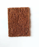 Bare & Co.- Coconut Scrub Sponge - Small