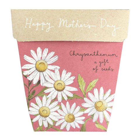 Sow 'n Sow - A Gift Of Seeds - Mother's Day Chrysanthemum