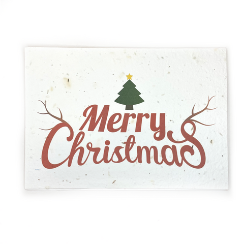 Bare & Co. - Seeded Christmas Card - Red Merry Christmas