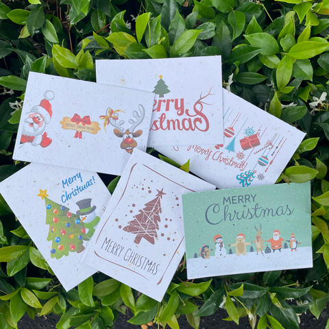 Bare & Co. - Seeded Christmas Card - Mixed (10 cards)