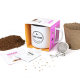 Urban Greens - Grow Your Own Tea Kit - Echinacea