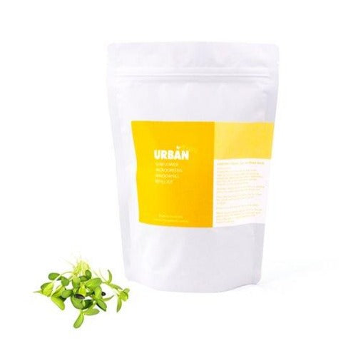 Urban Greens - Windowsill Seed and Soil Refill - Sunflower