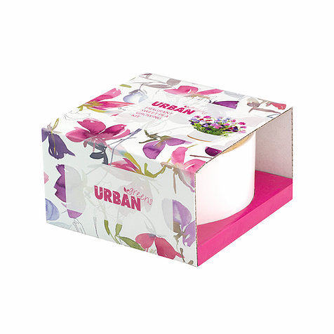 Urban Greens - Pot of Flowers Kit - Fragrant Sweet Pea