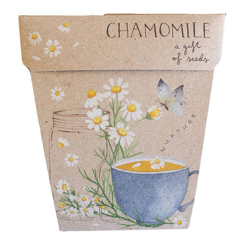 Sow 'n Sow - Chamomile A Gift Of Seeds