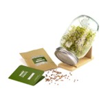 Urban Greens - Grow Your Own Sprouts Kit - Alfalfa